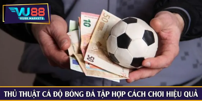 Thủ thuật cá độ bóng đá tập hợp cách chơi hiệu quả